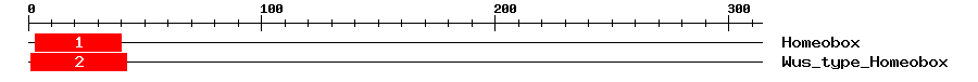 Signature Domain