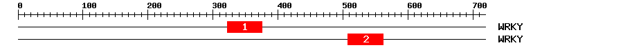 Signature Domain