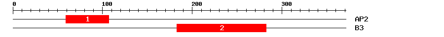 Signature Domain