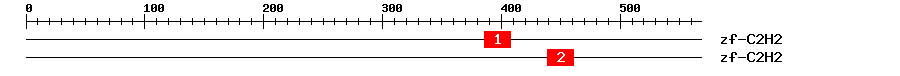 Signature Domain