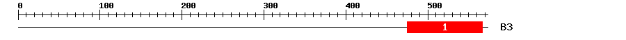 Signature Domain