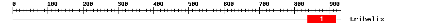 Signature Domain