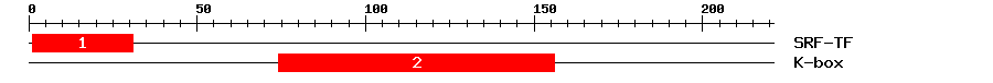 Signature Domain