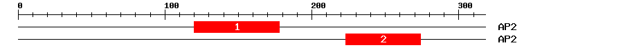 Signature Domain