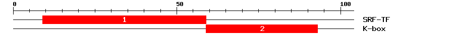 Signature Domain