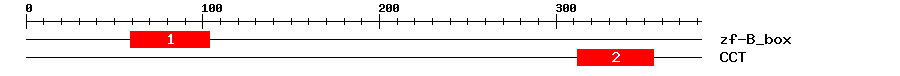 Signature Domain