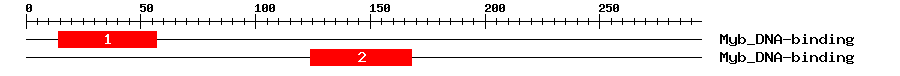 Signature Domain