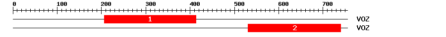 Signature Domain