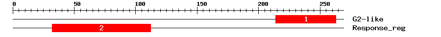 Signature Domain