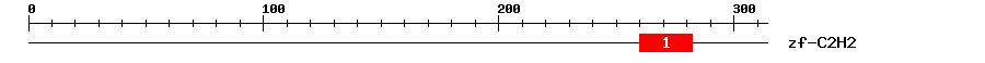 Signature Domain