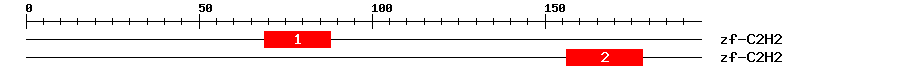 Signature Domain