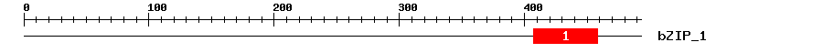 Signature Domain