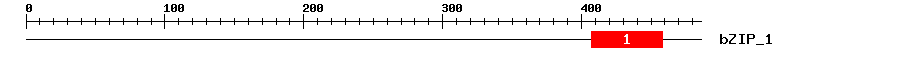 Signature Domain