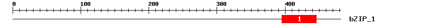 Signature Domain