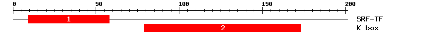 Signature Domain