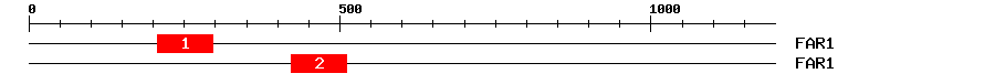 Signature Domain