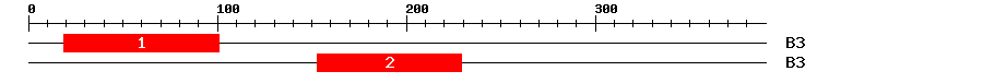 Signature Domain