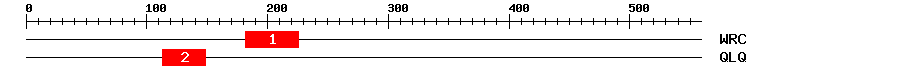 Signature Domain