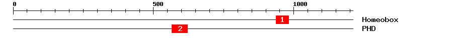 Signature Domain