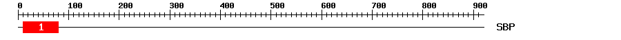 Signature Domain