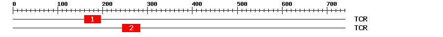 Signature Domain