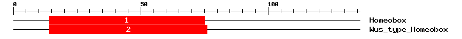 Signature Domain