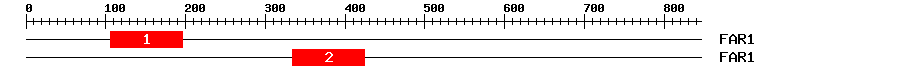 Signature Domain