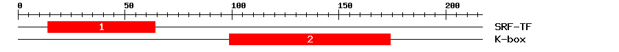Signature Domain