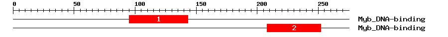 Signature Domain