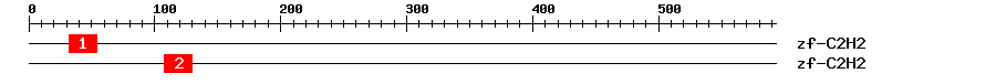 Signature Domain