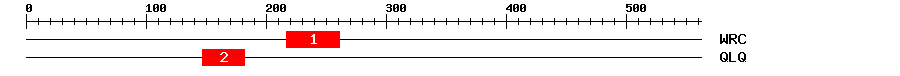 Signature Domain
