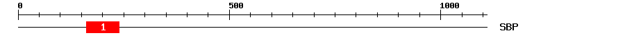 Signature Domain