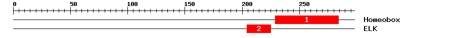 Signature Domain