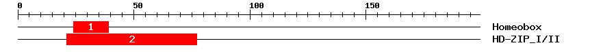 Signature Domain