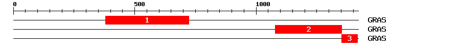 Signature Domain