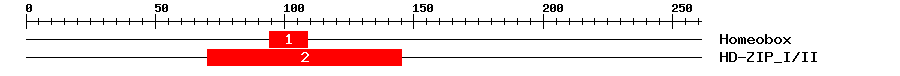 Signature Domain