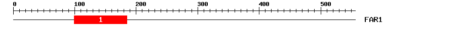 Signature Domain