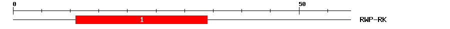 Signature Domain