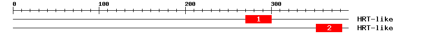 Signature Domain