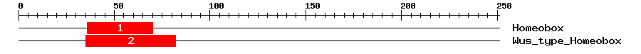 Signature Domain