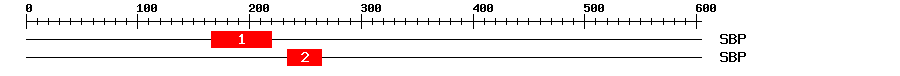 Signature Domain