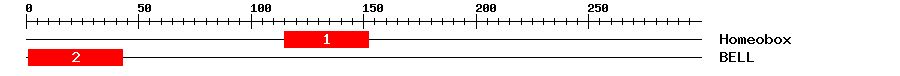 Signature Domain