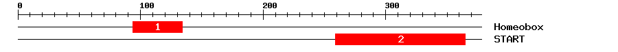 Signature Domain