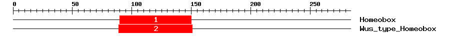 Signature Domain