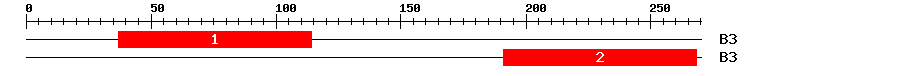 Signature Domain