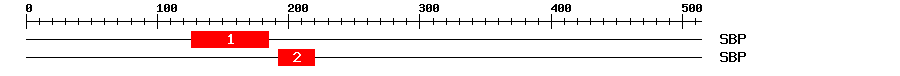 Signature Domain