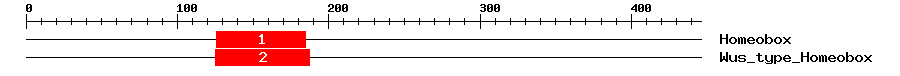 Signature Domain