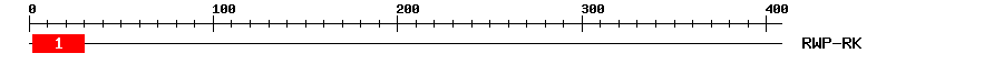 Signature Domain