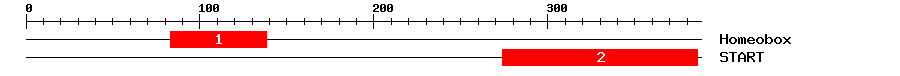 Signature Domain