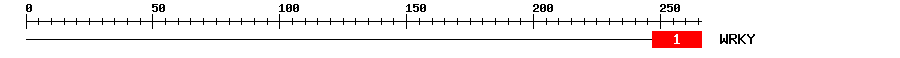 Signature Domain